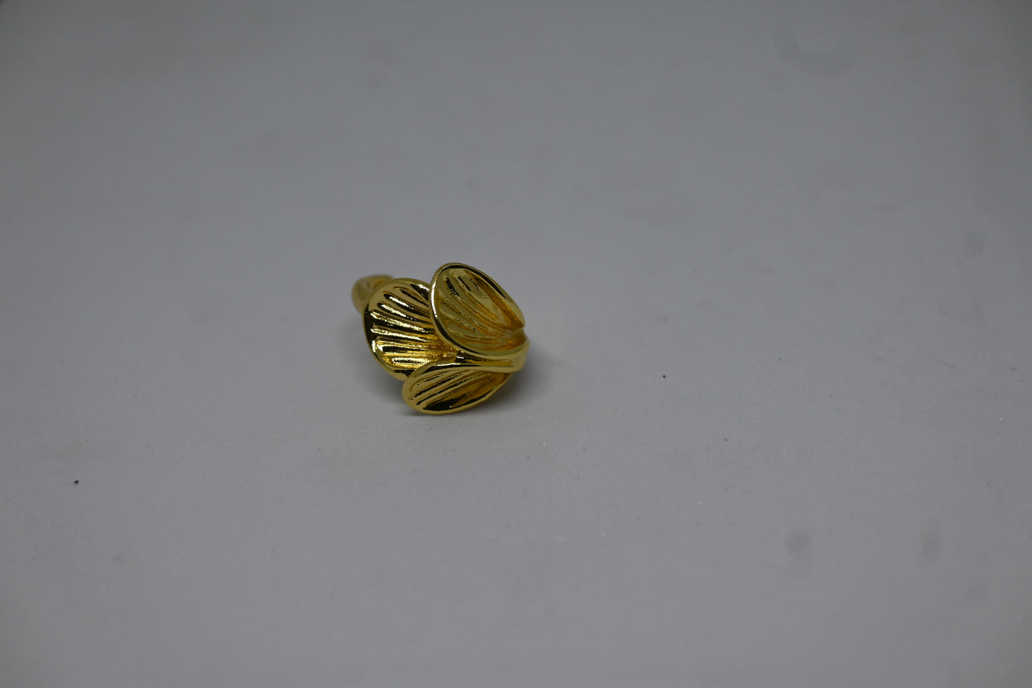 Anti Tarnish Ring R3